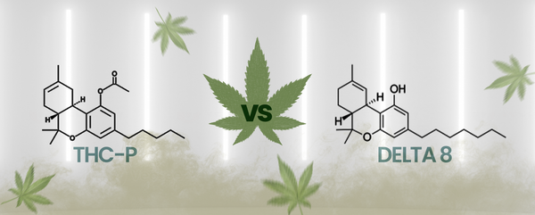 THCP vs Delta 8 Key Differences explained