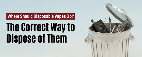 Where Should Disposable Vapes Go? The Correct Way to Dispose of Them