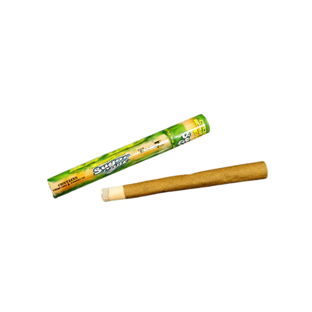 Cyclones Cone Sugar Cane 1Ct