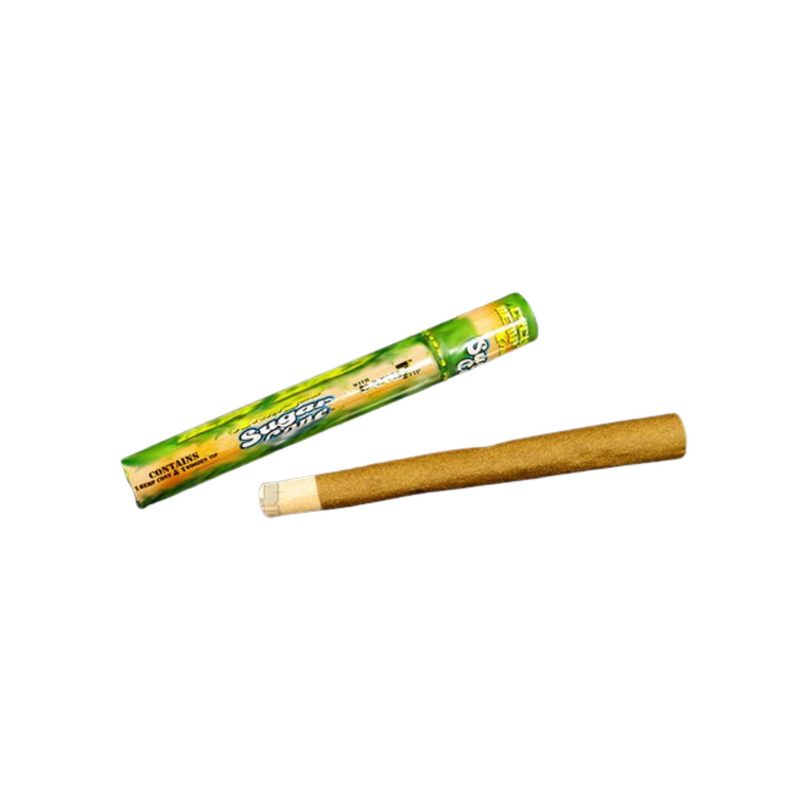 Cyclones Cone Sugar Cane 1Ct