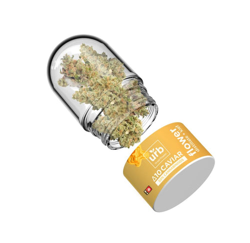 Urb Delta 10 Caviar Flower 7G