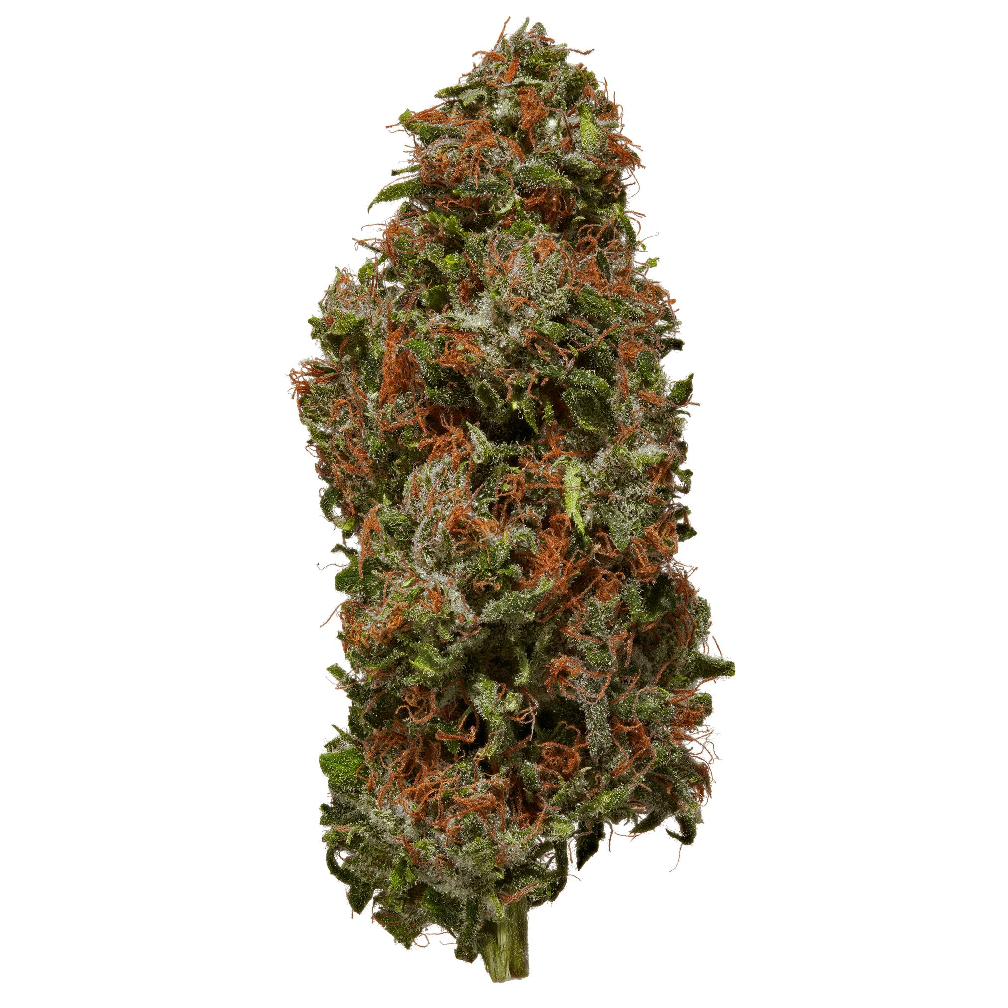 Forbidden Flower Delta 8 Indoor Flower